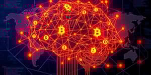 El Cerebro Detrás del Dinero: Comprendiendo las Finanzas Digitales